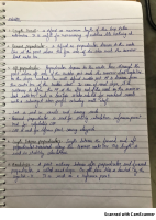 Ship Construction & Stability Notes.pdf